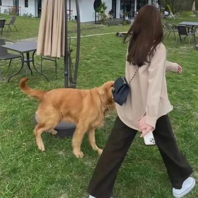 幻想嘉年华第三季